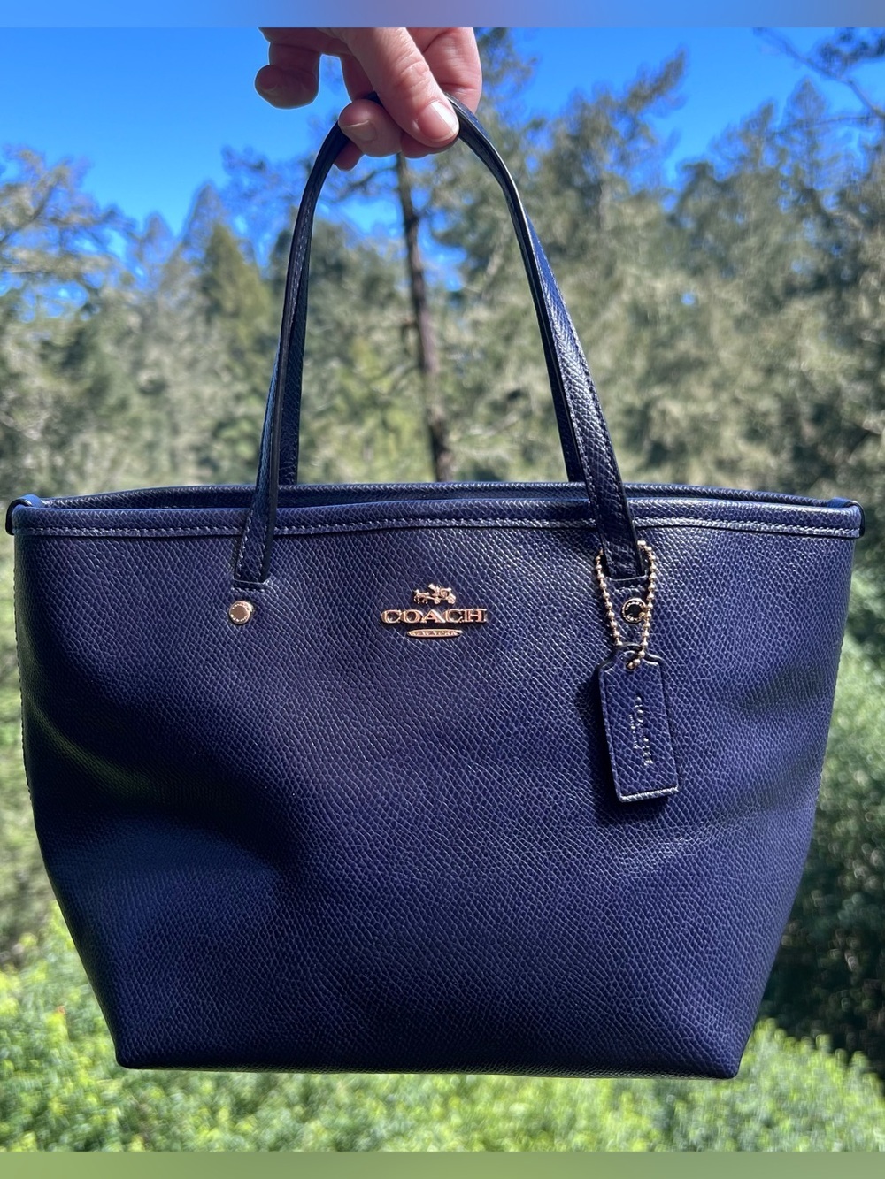 COACH Women's Mini City Tote Blue Crossgrain Leather w Gold Hardware AUTHENTIC